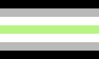 Agender Flagge