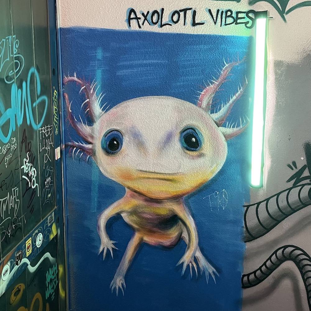 Axolotl Vibes