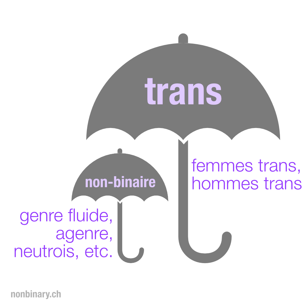 Parapluie: trans {femmes trans, hommes trans, non-binaire {genre fluide, agenre, neutrois etc.} }